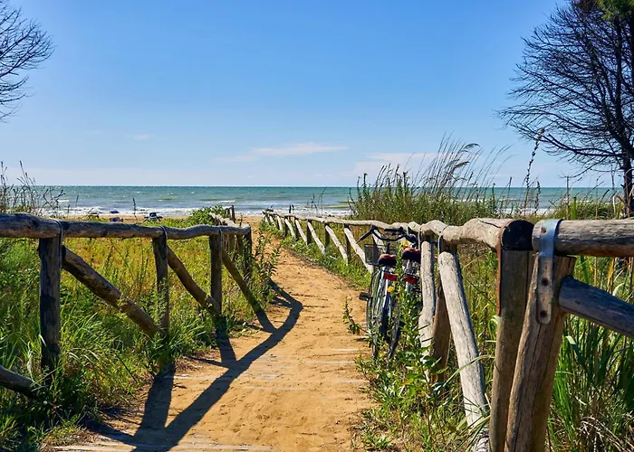 Lejlighed In 33582 *